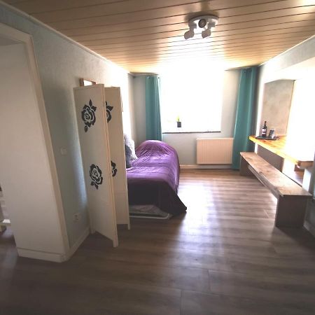 Mooi Ruim Appartement In Antieke Stadsboerderij Schönecken 외부 사진