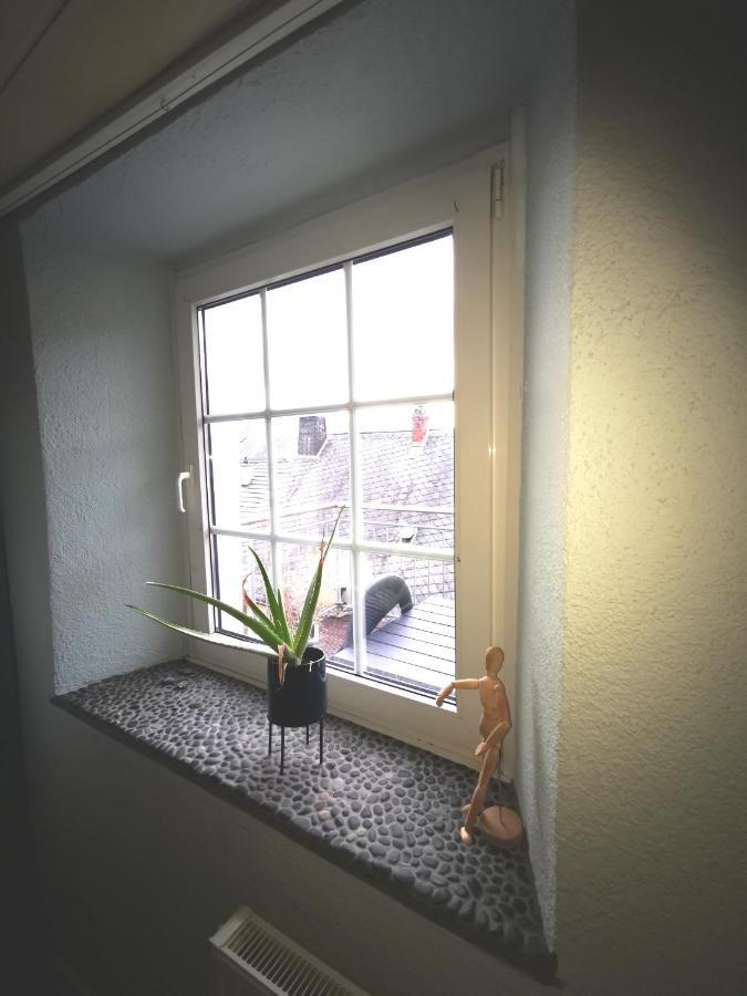 Mooi Ruim Appartement In Antieke Stadsboerderij Schönecken 외부 사진