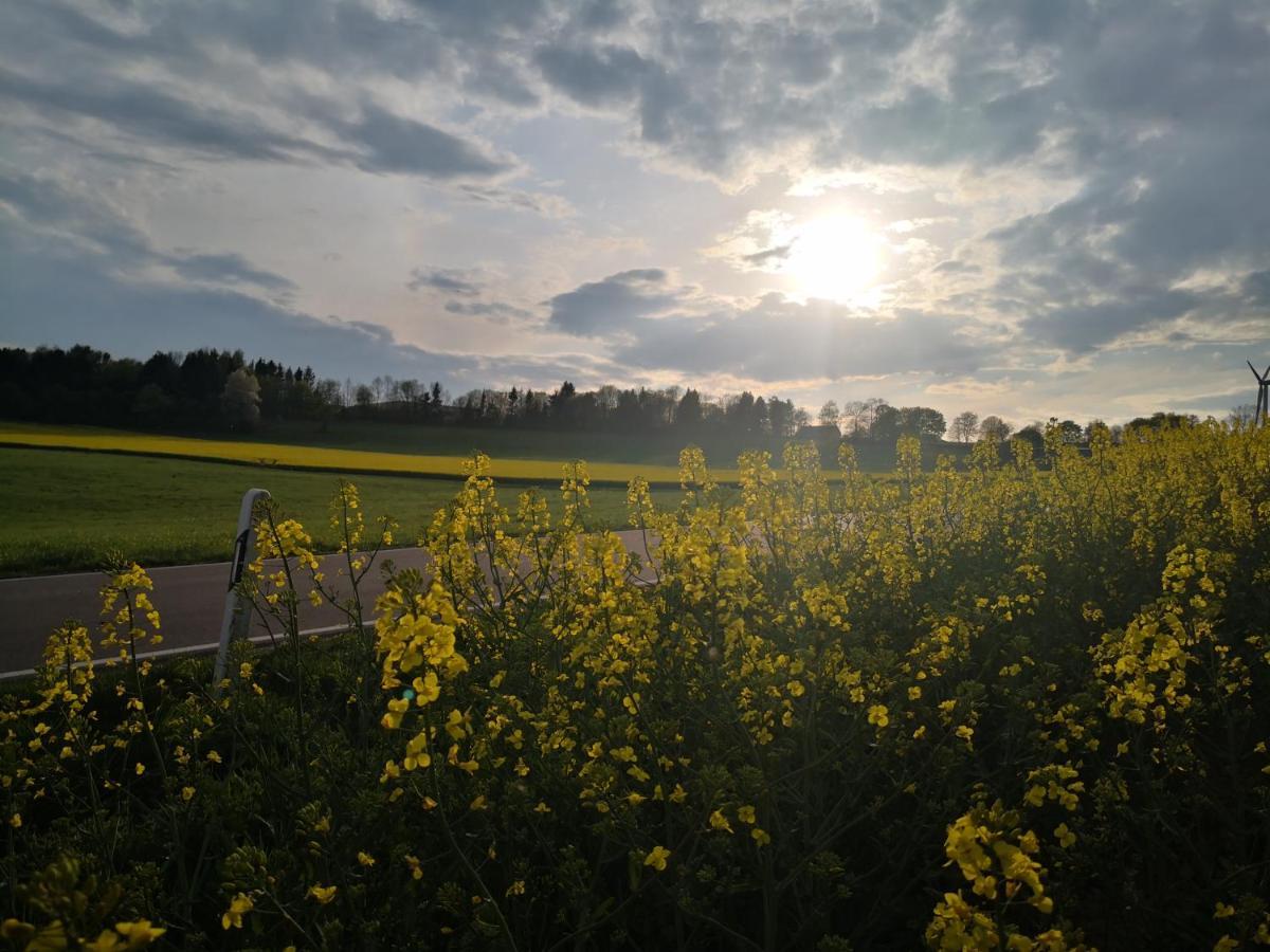 Mooi Ruim Appartement In Antieke Stadsboerderij Schönecken 외부 사진