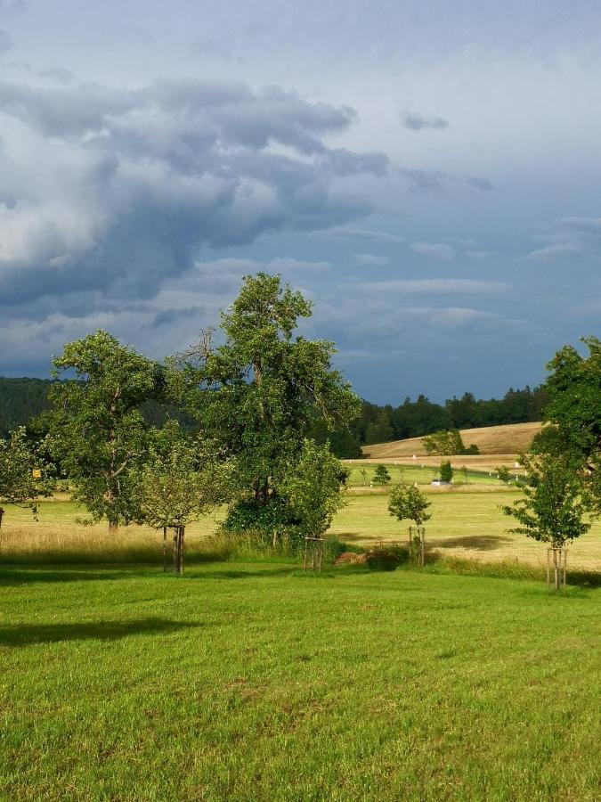 Mooi Ruim Appartement In Antieke Stadsboerderij Schönecken 외부 사진