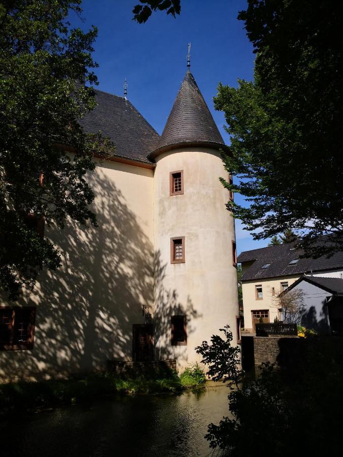 Mooi Ruim Appartement In Antieke Stadsboerderij Schönecken 외부 사진