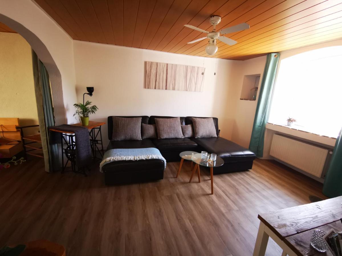 Mooi Ruim Appartement In Antieke Stadsboerderij Schönecken 외부 사진